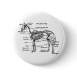 Horse buttons