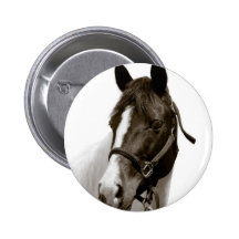 Horse Button