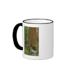 Horse Carriage Under a Giant Redwood Coffee Mug