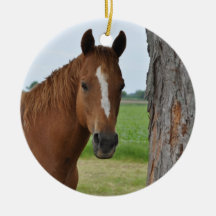 Horse Christmas Tree Ornaments