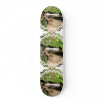 Horse Colt  Skateboard