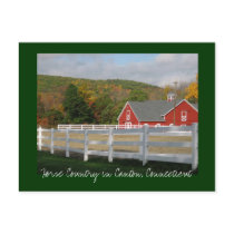 Horse Country in Canton Post Card