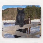 HORSE COUNTRY MOUSE PADS