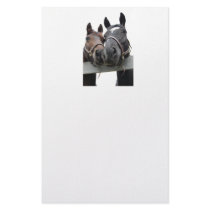Horse Country Wedding