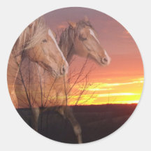 Horse Couple in Sunrise Round Stickers