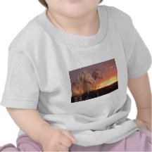 Horse Couple in Sunrise Tee Shirts