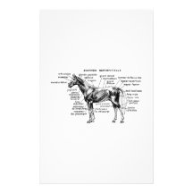 Horse Custom Stationery