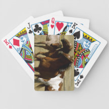 Horse Deck of Cards