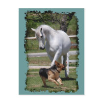 HORSE & DOG PLAY POST CARD