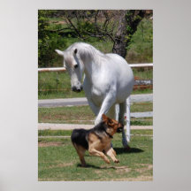 HORSE & DOG PLAY Poster