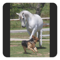 HORSE & DOG PLAY STICKERS