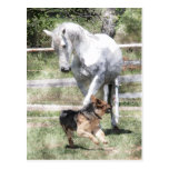 HORSE & DOG PLAY WATERCOLOR POSTCARD