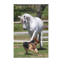 HORSE & DOG PLAY Wrapped Canvas Print
