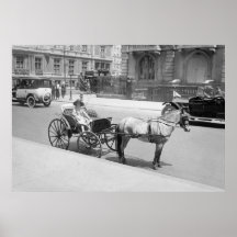 Horse Drawn Buggy: early 1900s Poster