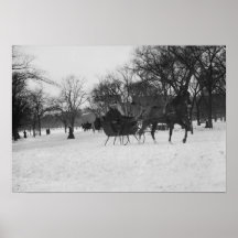 Horse drawn sleigh in Central Park, New York City Poster