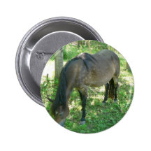 Horse Eating Pinback Button