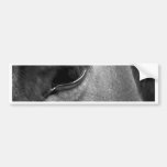 Horse eye bumper sticker