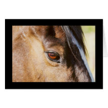 Horse Eye Card