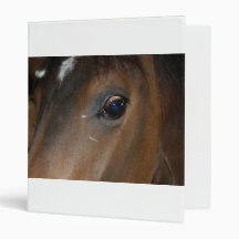Horse Eye Close-up Vinyl Binders