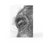 Horse Eye Closeup Drawing by Kelli Swan cards
