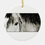 Horse Eye Photograph Christmas Tree Ornament