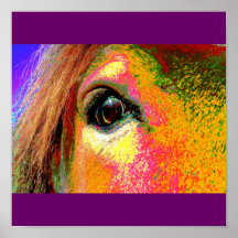 Horse Eye Poster