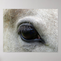 Horse eye print