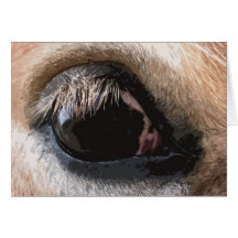 Horse Eye View Greeting Cards