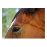 Horse Face business cards