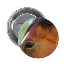 Horse Face button