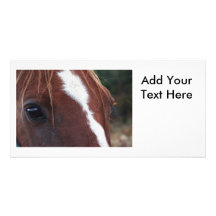 Horse Face Closeup Photo Greeting Card