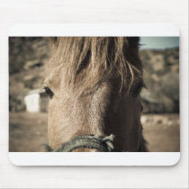 Horse Face Mouse Pads