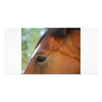 Horse Face photo card