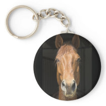 Horse Face Photograph keychains