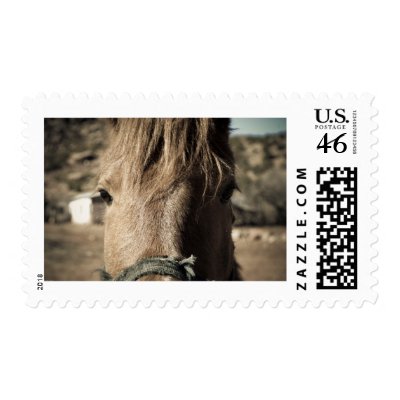 Horse Face Postage by DamienSpencerStudios
