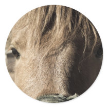 Horse Face Round Sticker