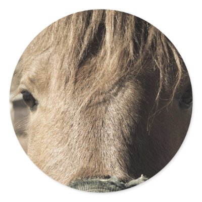 Horse Face Round Sticker by DamienSpencerStudios