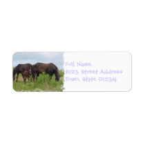 Horse Family Grazing Mailing Label labels