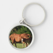 Horse Family  Keychain