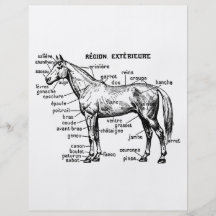 Horse Flyer Design
