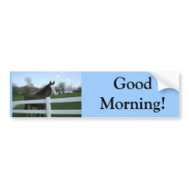 Horse, Good Morning! Bumper Sticker