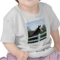 Horse, Good Morning! T Shirts