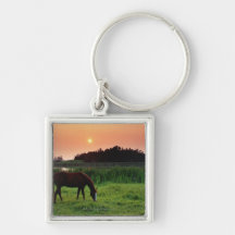 Horse Grazing in Field at Sunset Near Edmonton, Keychains