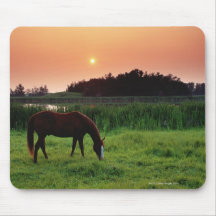Horse Grazing in Field at Sunset Near Edmonton, Mousepads