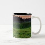 Horse Grazing in Field at Sunset Near Edmonton, Coffee Mug