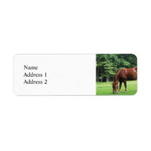 Horse Grazing in Pasture Return Address Labels