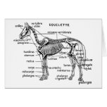 Horse Greeting Card