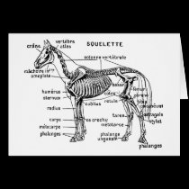 Horse cards