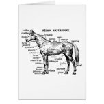Horse Greeting Card
