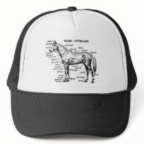 Horse Hats